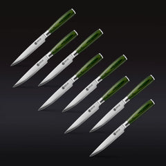 Steak Knife & Bistecca Plate Set, 16-pc (Green)
