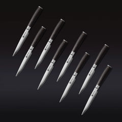 Steak Knife & Bistecca Plate Set, 16-pc (Espresso)